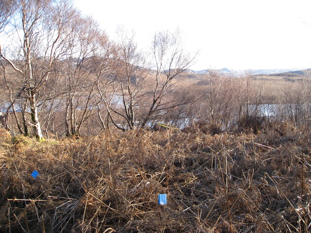 MHG8282_04.JPG