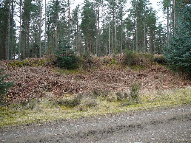P1000294.JPG