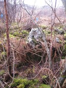 MHG8382_04.JPG