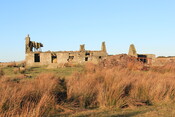 EHG4954_03.jpg