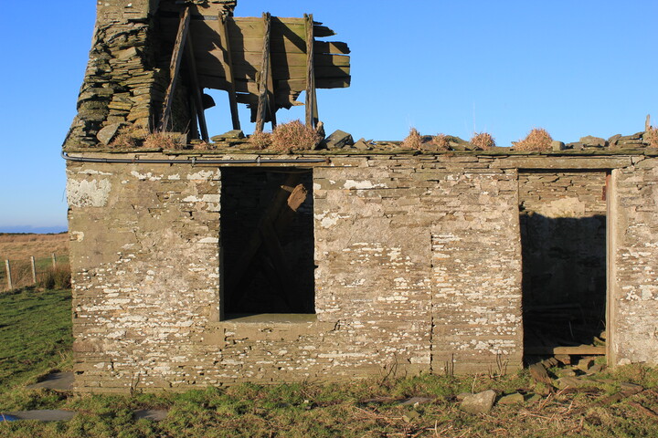 EHG4954_05.jpg