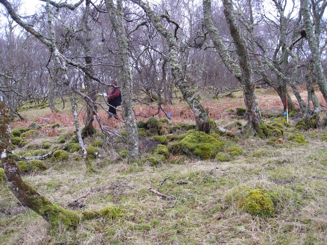 MHG49724_01.JPG