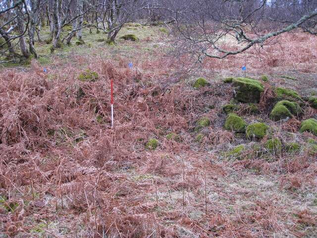 MHG49724_04.JPG