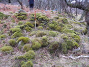 MHG49724_05.JPG