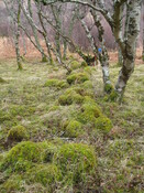 MHG49724_06.JPG
