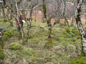 MHG57273_02.JPG