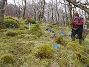 MHG57273_04.JPG