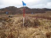 MHG8293_02.JPG