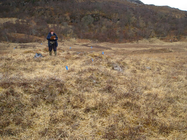 MHG8293_04.JPG