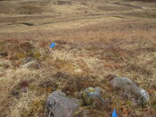 MHG8293_05.JPG