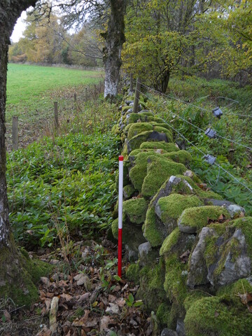 EHG4969_01.JPG