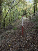 EHG4969_05.JPG