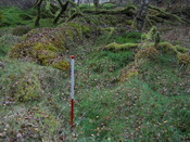 EHG4969_11.JPG