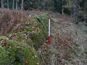 EHG4969_12.JPG