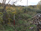 EHG4969_13.JPG