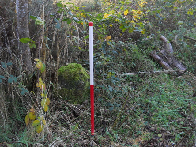 EHG4969_14.JPG