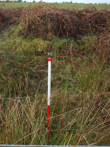 EHG4969_16.JPG