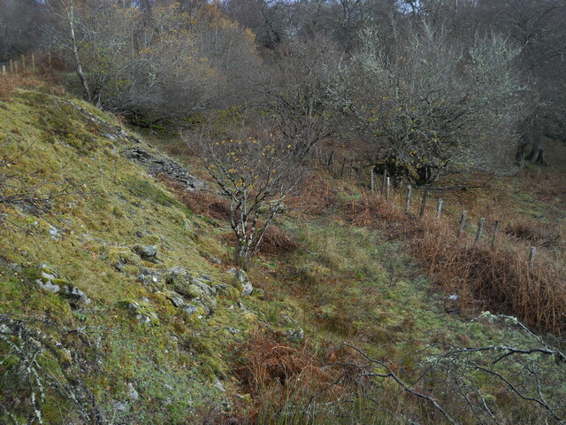 EHG4969_20.JPG