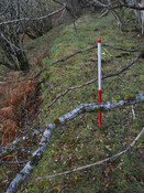 EHG4969_21.JPG
