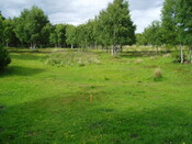 P1010048.JPG