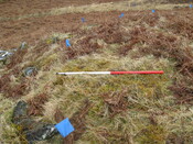 MHG57287_05.JPG