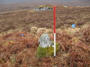 MHG8294_01.JPG