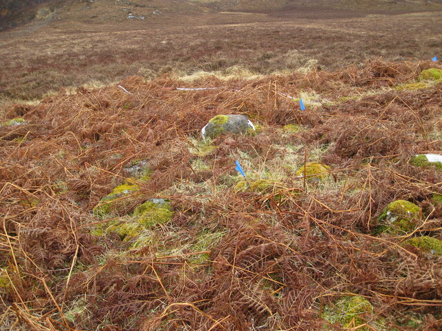 MHG8294_06.JPG