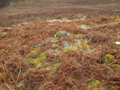 MHG8294_06.JPG