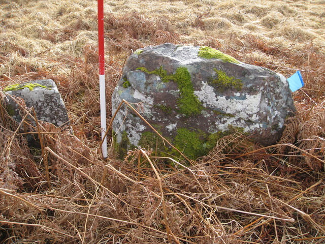 MHG8295_02.JPG