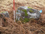 MHG8295_02.JPG