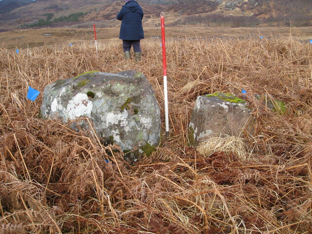 MHG8295_03.JPG