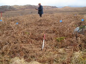 MHG8295_04.JPG