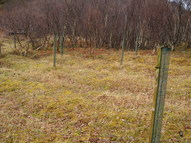 MHG8291_02.JPG