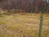 MHG8291_02.JPG