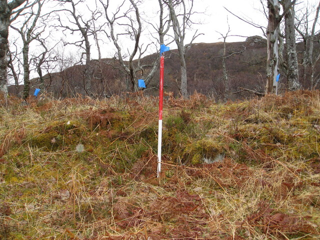 MHG8291_03.JPG