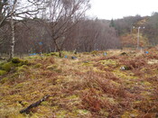 AMc125 IMG_3902 from NW overview .JPG