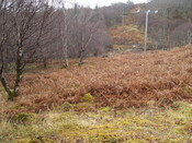AMc125 IMG_3908 from N looking S at view .JPG