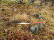 AMc125 IMG_3909 from E showing intact wall section C .JPG