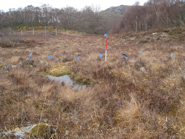 MHG49730_01.JPG