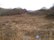 MHG49730_02.JPG