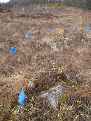 MHG49730_03.JPG