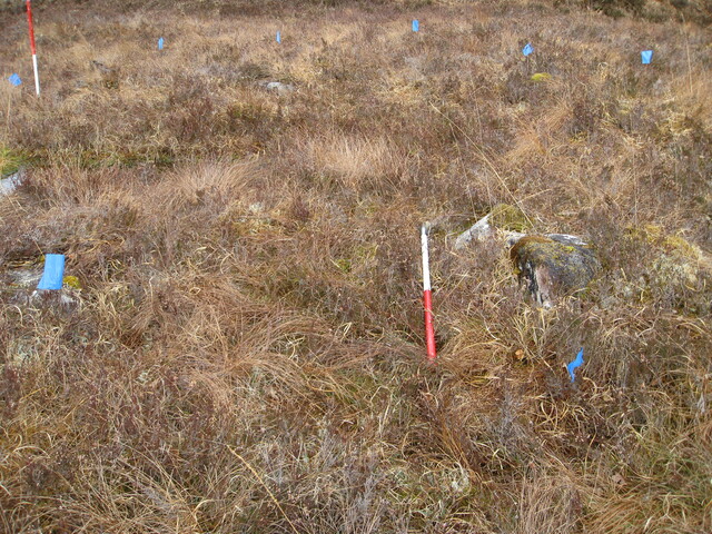 MHG49730_05.JPG