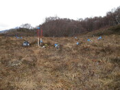 MHG49730_06.JPG