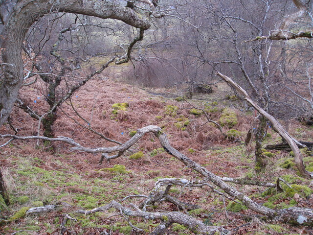 MHG8385_01.JPG