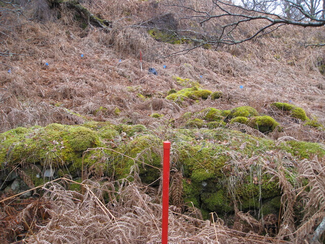 MHG8385_04.JPG