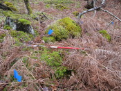 MHG8385_05.JPG