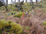 MHG8385_06.JPG