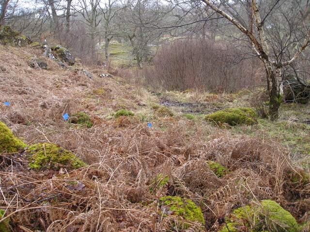 MHG8385_07.JPG