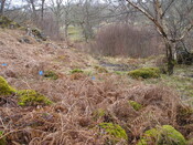 MHG8385_07.JPG