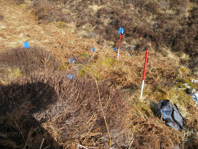 MHG49717_01.JPG